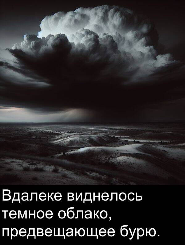 облако: Вдалеке виднелось темное облако, предвещающее бурю.