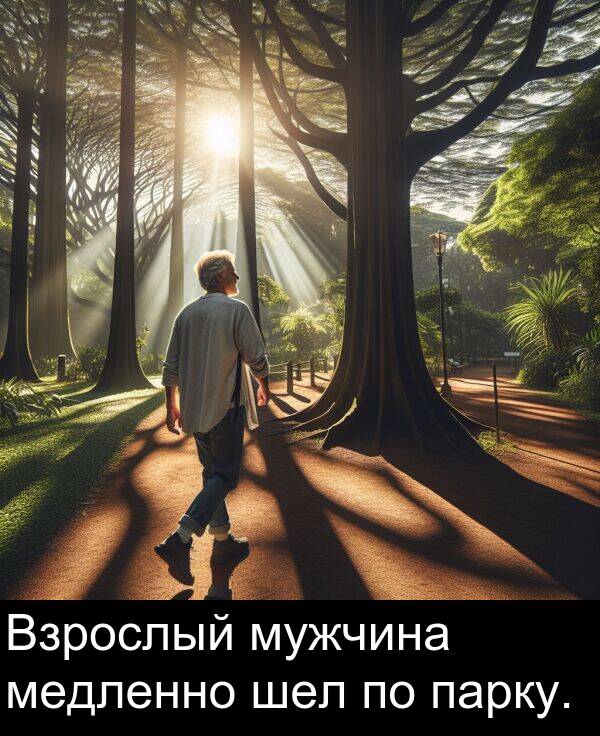 шел: Взрослый мужчина медленно шел по парку.