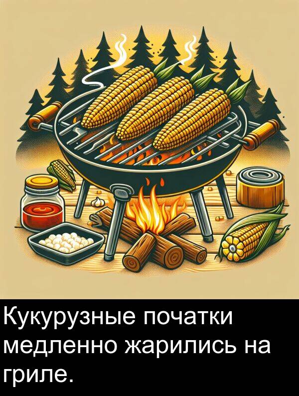 початки: Кукурузные початки медленно жарились на гриле.