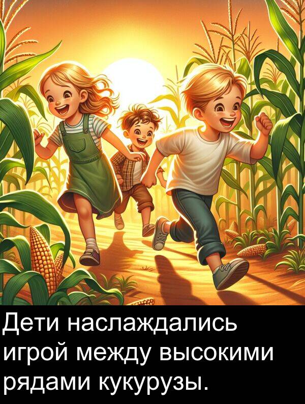 кукурузы: Дети наслаждались игрой между высокими рядами кукурузы.