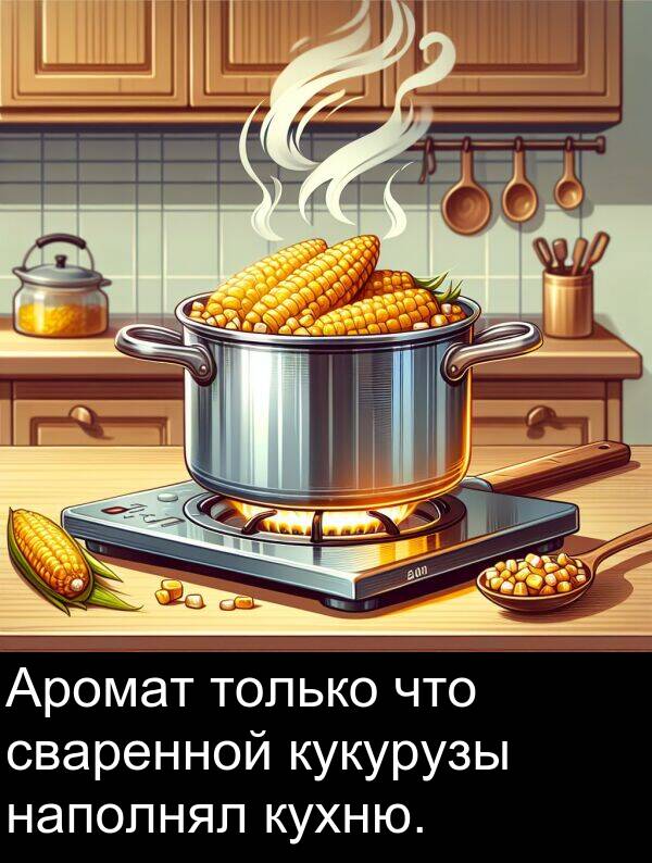 кукурузы: Аромат только что сваренной кукурузы наполнял кухню.