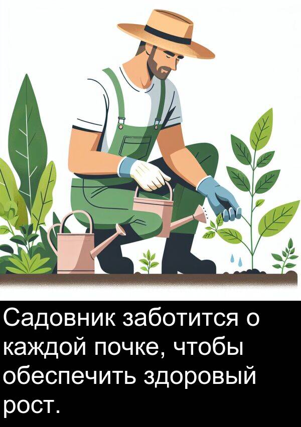 каждой: Садовник заботится о каждой почке, чтобы обеспечить здоровый рост.