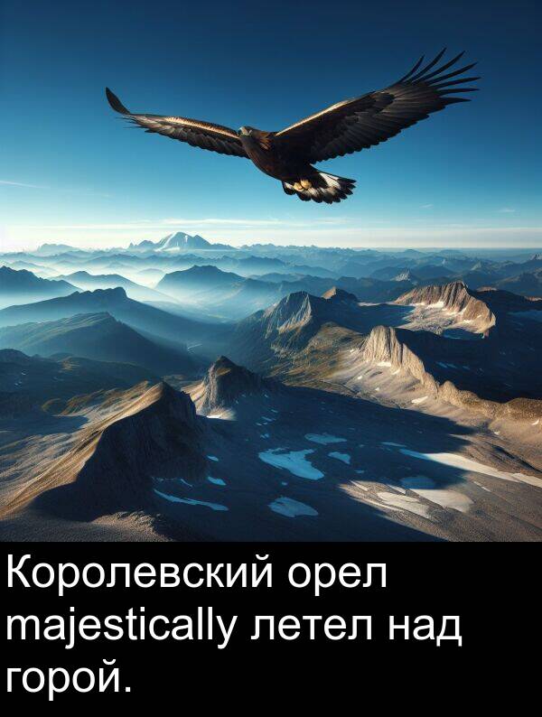 над: Королевский орел majestically летел над горой.