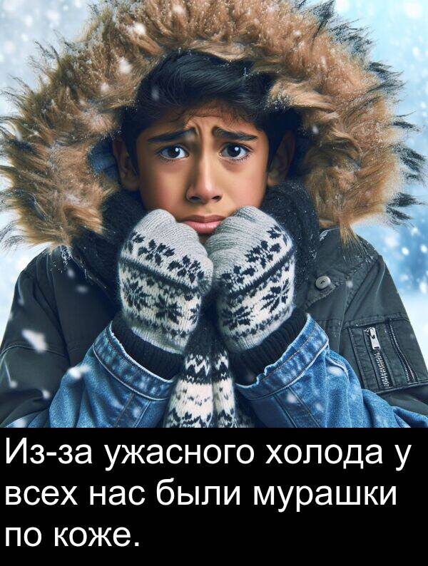 коже: Из-за ужасного холода у всех нас были мурашки по коже.