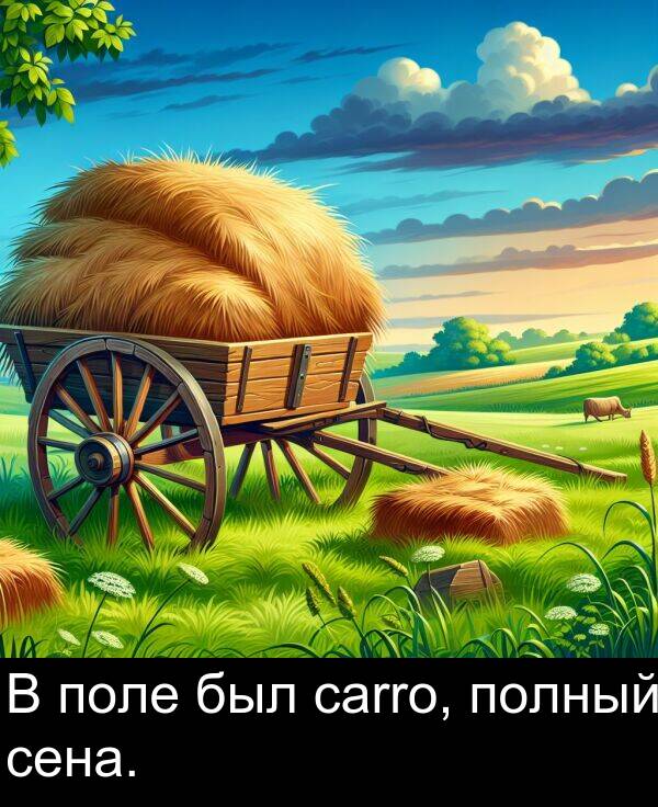 полный: В поле был carro, полный сена.