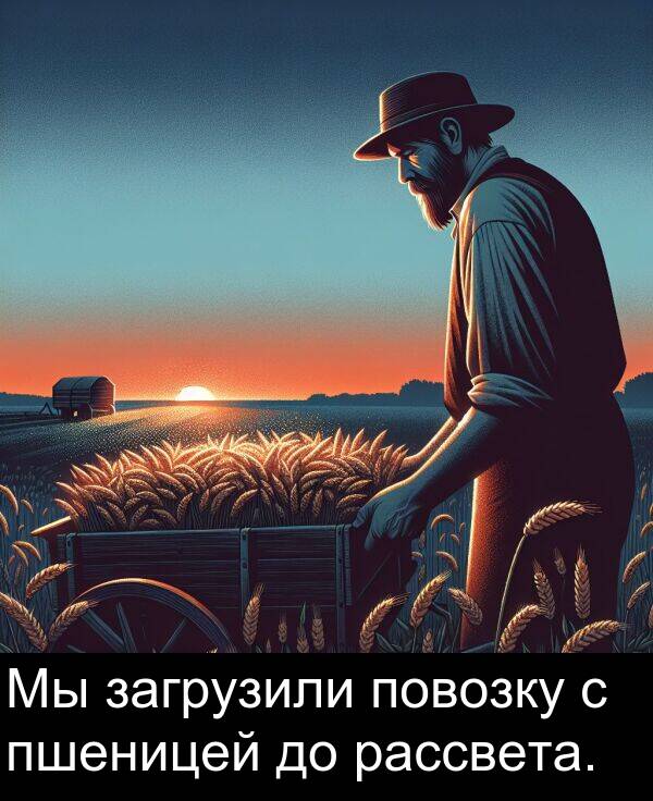 пшеницей: Мы загрузили повозку с пшеницей до рассвета.