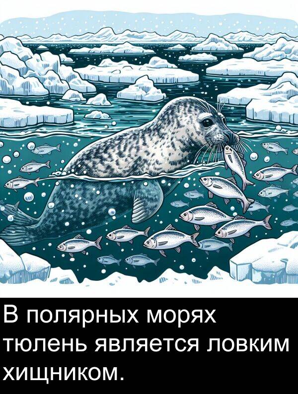 полярных: В полярных морях тюлень является ловким хищником.