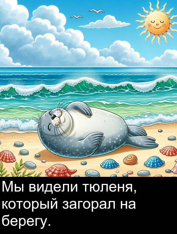 который: Мы видели тюленя, который загорал на берегу.