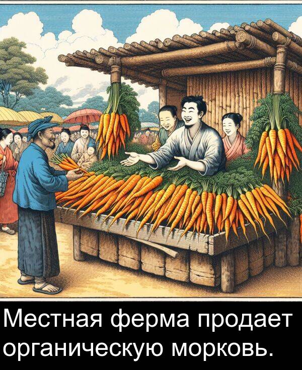 продает: Местная ферма продает органическую морковь.