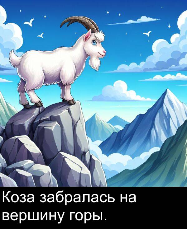 вершину: Коза забралась на вершину горы.