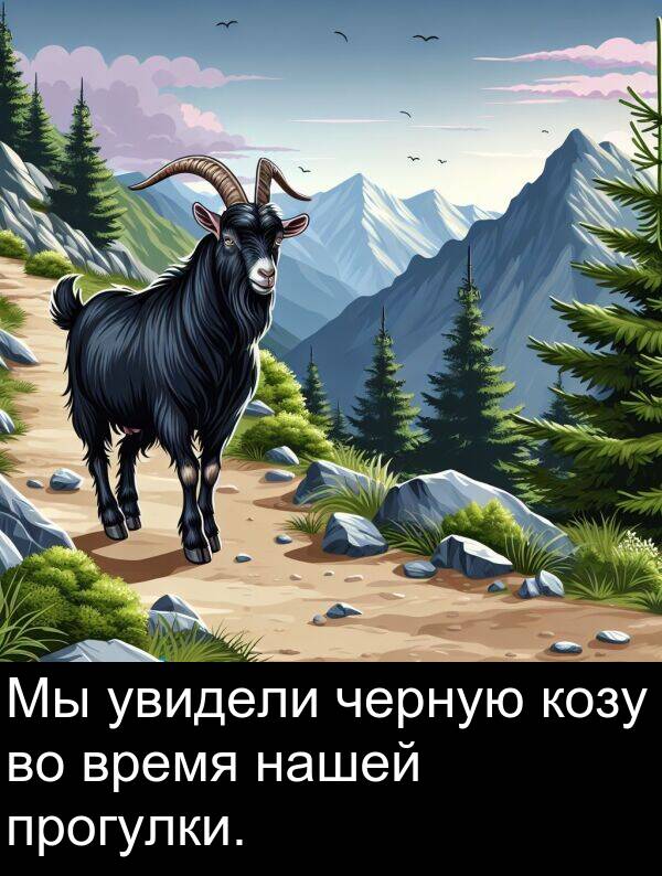 козу: Мы увидели черную козу во время нашей прогулки.