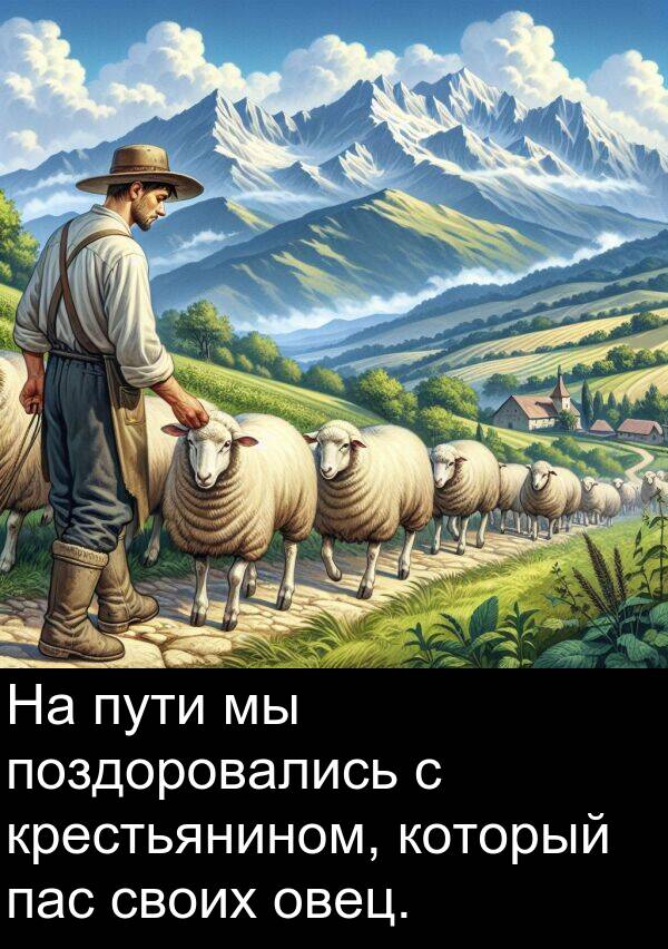 который: На пути мы поздоровались с крестьянином, который пас своих овец.