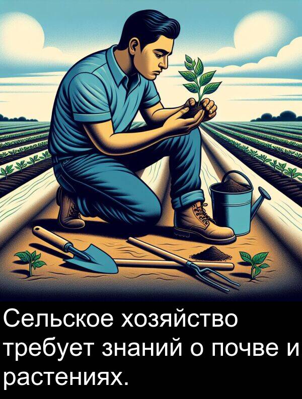 почве: Сельское хозяйство требует знаний о почве и растениях.