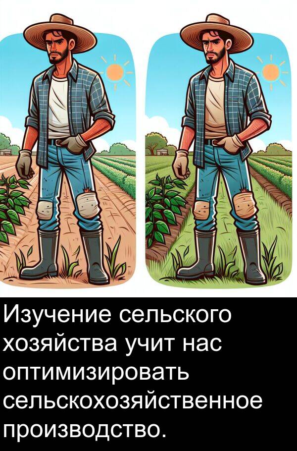 производство: Изучение сельского хозяйства учит нас оптимизировать сельскохозяйственное производство.