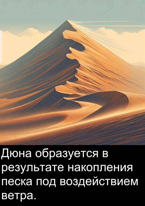ветра: Дюна образуется в результате накопления песка под воздействием ветра.