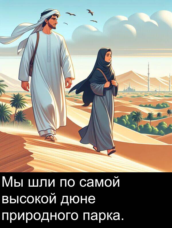 природного: Мы шли по самой высокой дюне природного парка.