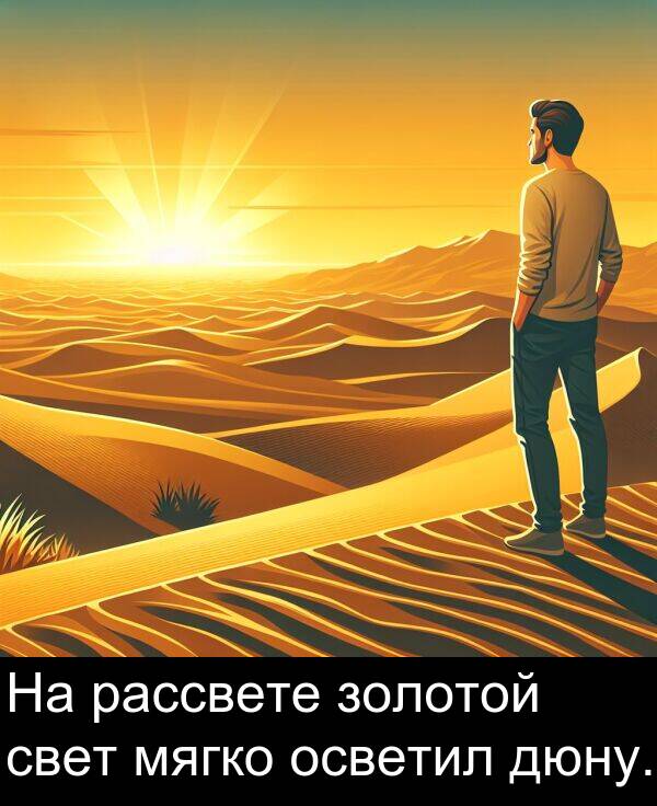 свет: На рассвете золотой свет мягко осветил дюну.