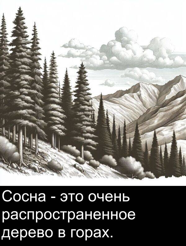 дерево: Сосна - это очень распространенное дерево в горах.