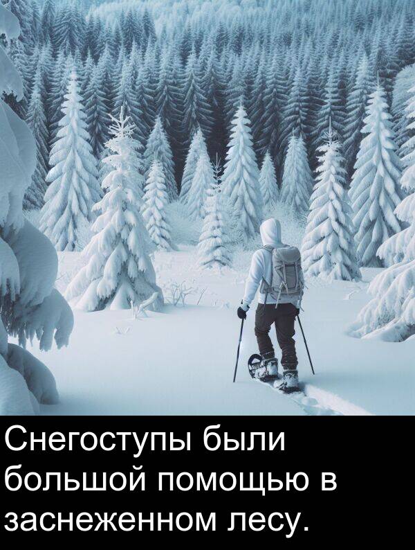 заснеженном: Снегоступы были большой помощью в заснеженном лесу.