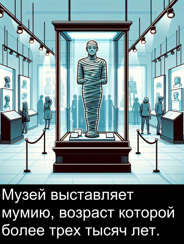 которой: Музей выставляет мумию, возраст которой более трех тысяч лет.