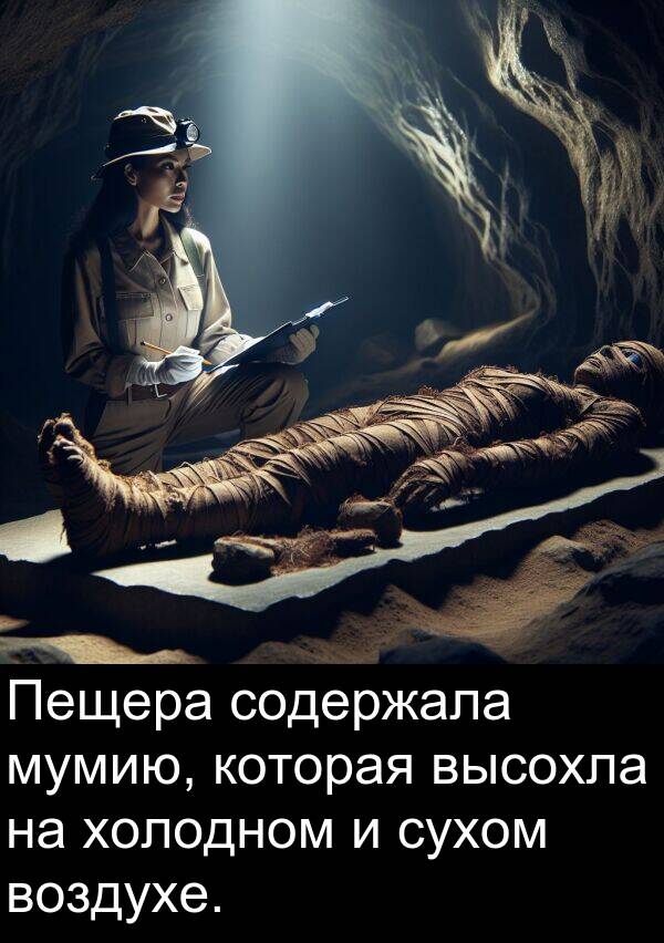высохла: Пещера содержала мумию, которая высохла на холодном и сухом воздухе.