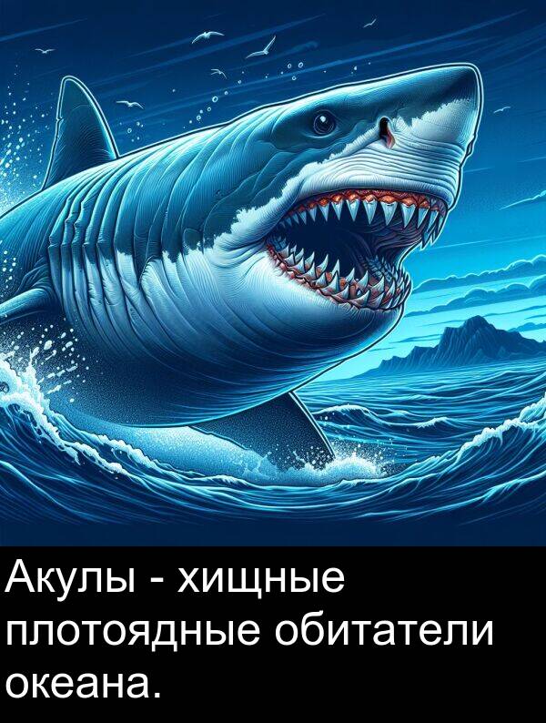 обитатели: Акулы - хищные плотоядные обитатели океана.