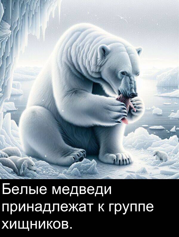принадлежат: Белые медведи принадлежат к группе хищников.