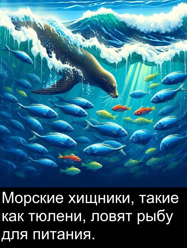 такие: Морские хищники, такие как тюлени, ловят рыбу для питания.