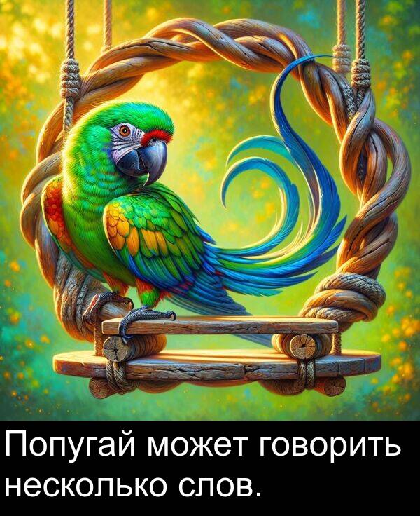 несколько: Попугай может говорить несколько слов.