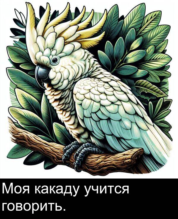 учится: Моя какаду учится говорить.
