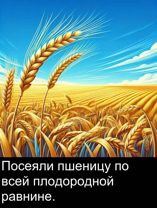 пшеницу: Посеяли пшеницу по всей плодородной равнине.