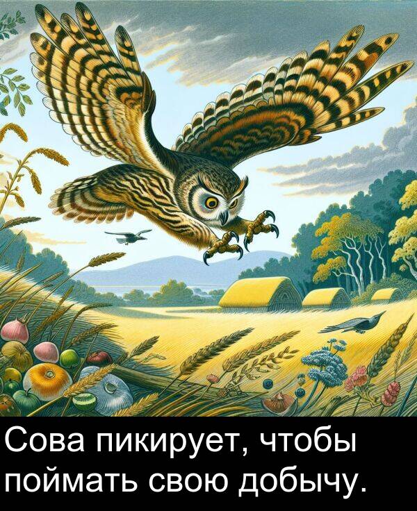 свою: Сова пикирует, чтобы поймать свою добычу.
