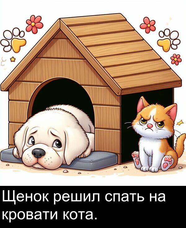 кровати: Щенок решил спать на кровати кота.