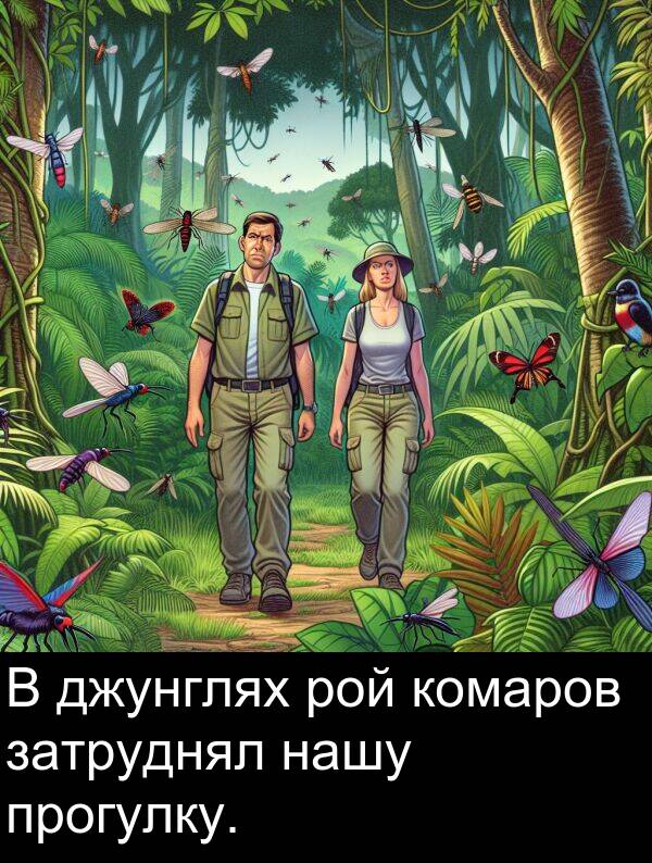 прогулку: В джунглях рой комаров затруднял нашу прогулку.