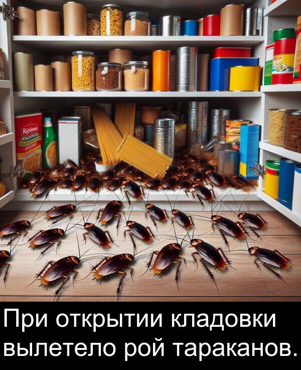 кладовки: При открытии кладовки вылетело рой тараканов.
