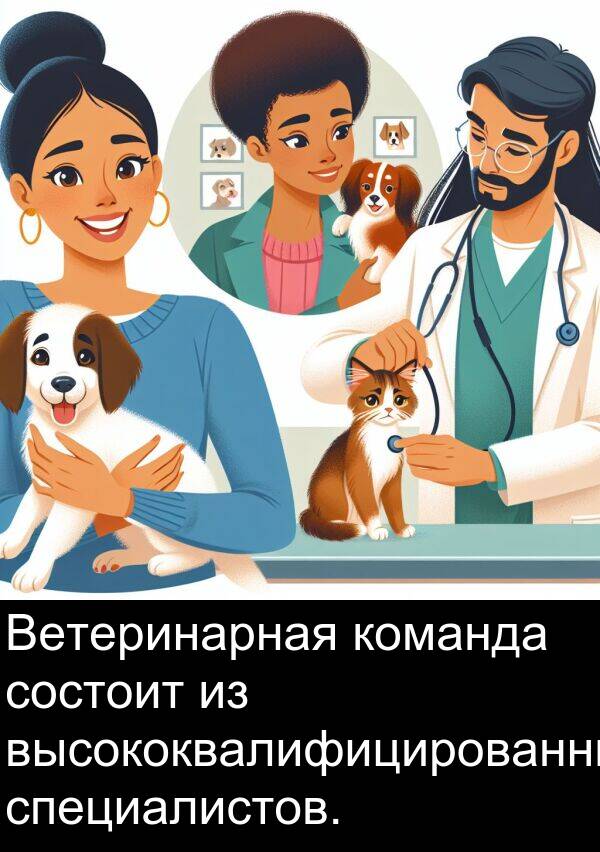 команда: Ветеринарная команда состоит из высококвалифицированных специалистов.