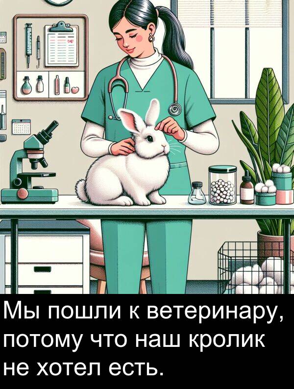 кролик: Мы пошли к ветеринару, потому что наш кролик не хотел есть.