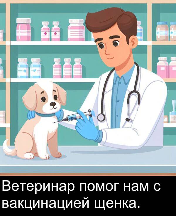 вакцинацией: Ветеринар помог нам с вакцинацией щенка.