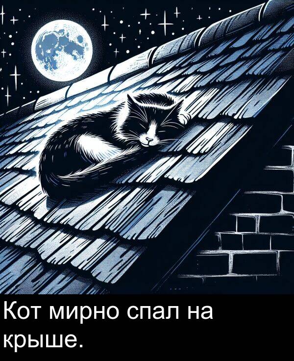крыше: Кот мирно спал на крыше.