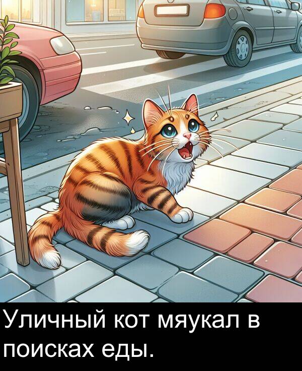кот: Уличный кот мяукал в поисках еды.