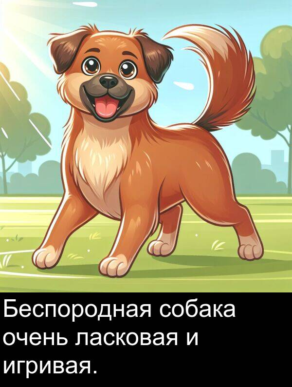 ласковая: Беспородная собака очень ласковая и игривая.