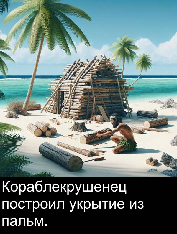 укрытие: Кораблекрушенец построил укрытие из пальм.