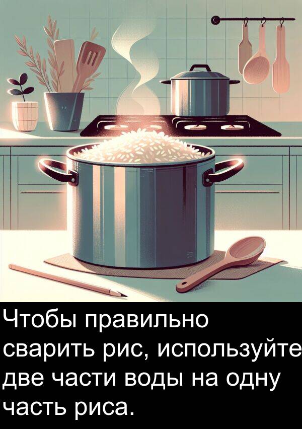 сварить: Чтобы правильно сварить рис, используйте две части воды на одну часть риса.