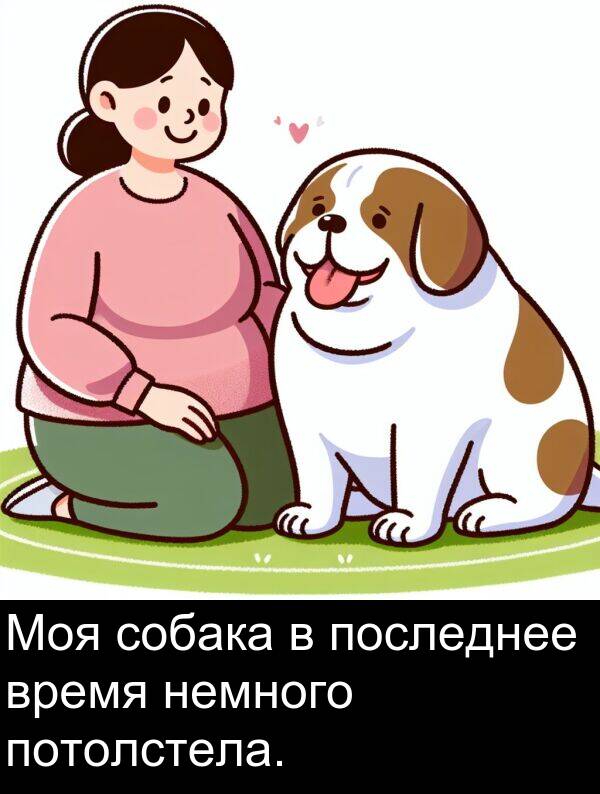 потолстела: Моя собака в последнее время немного потолстела.