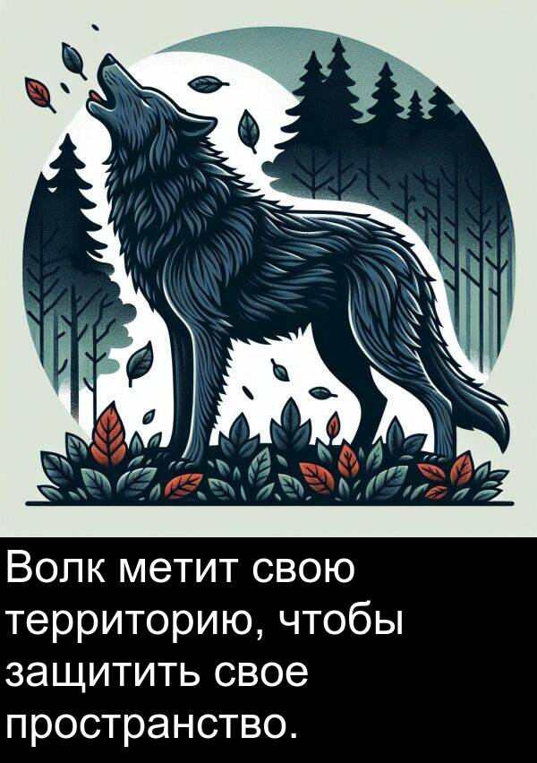 пространство: Волк метит свою территорию, чтобы защитить свое пространство.