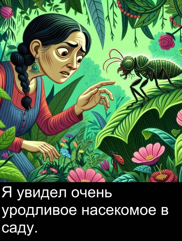саду: Я увидел очень уродливое насекомое в саду.