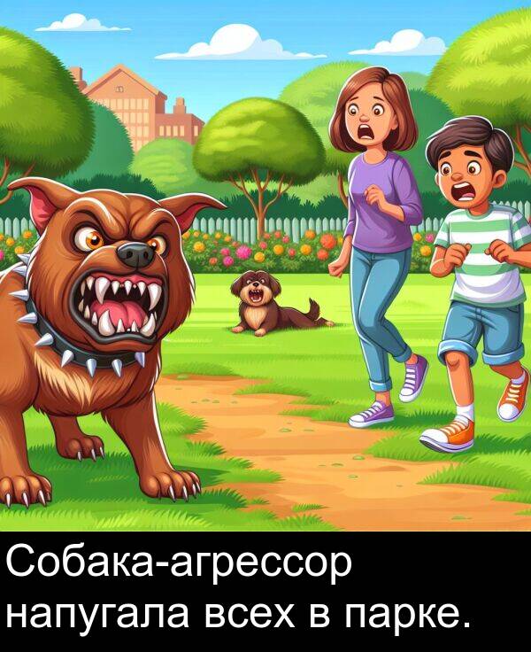 всех: Собака-агрессор напугала всех в парке.