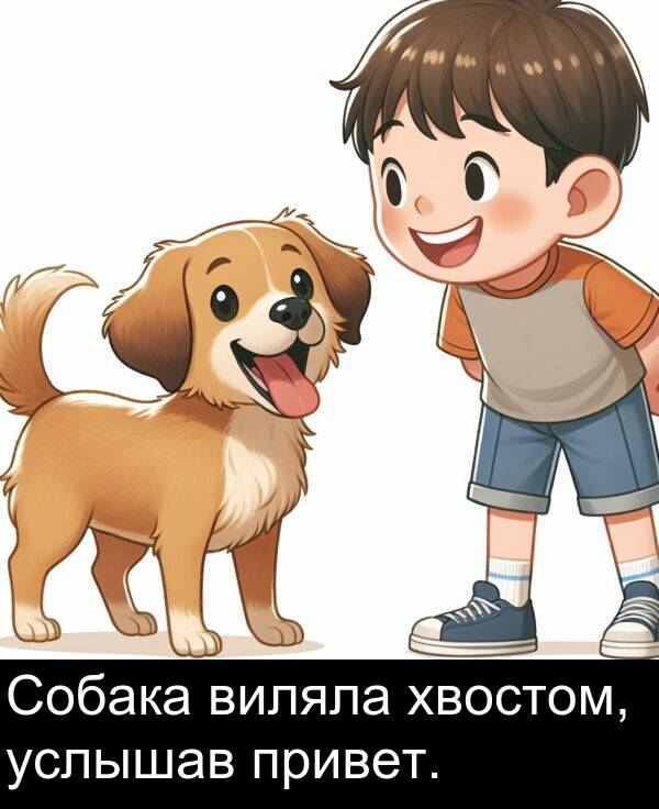 привет: Собака виляла хвостом, услышав привет.