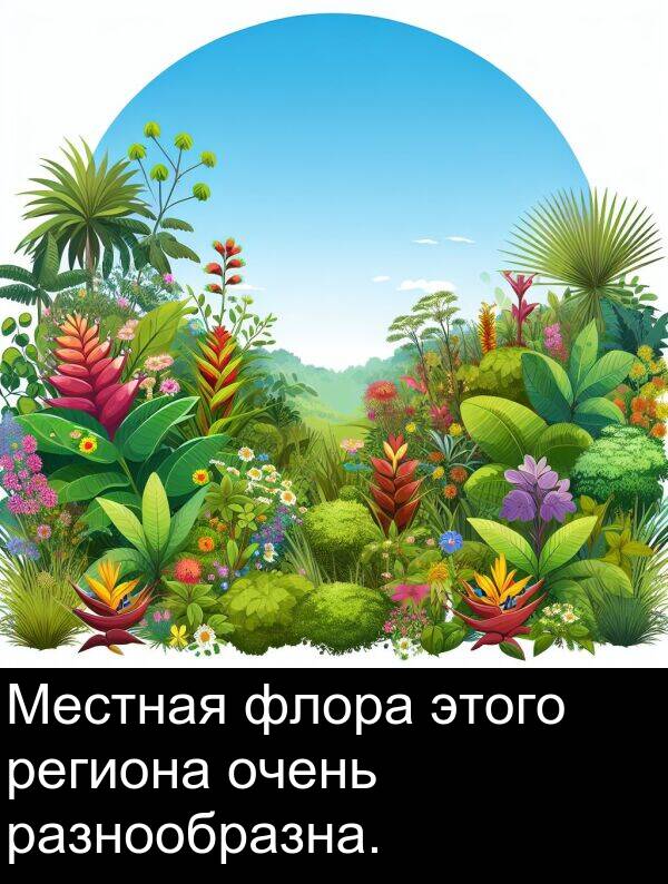 флора: Местная флора этого региона очень разнообразна.