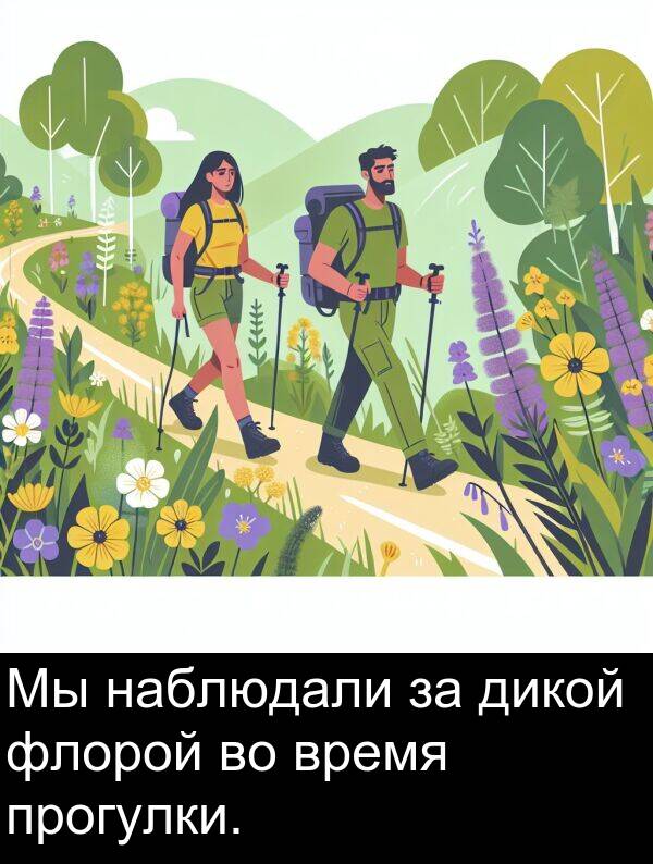 прогулки: Мы наблюдали за дикой флорой во время прогулки.